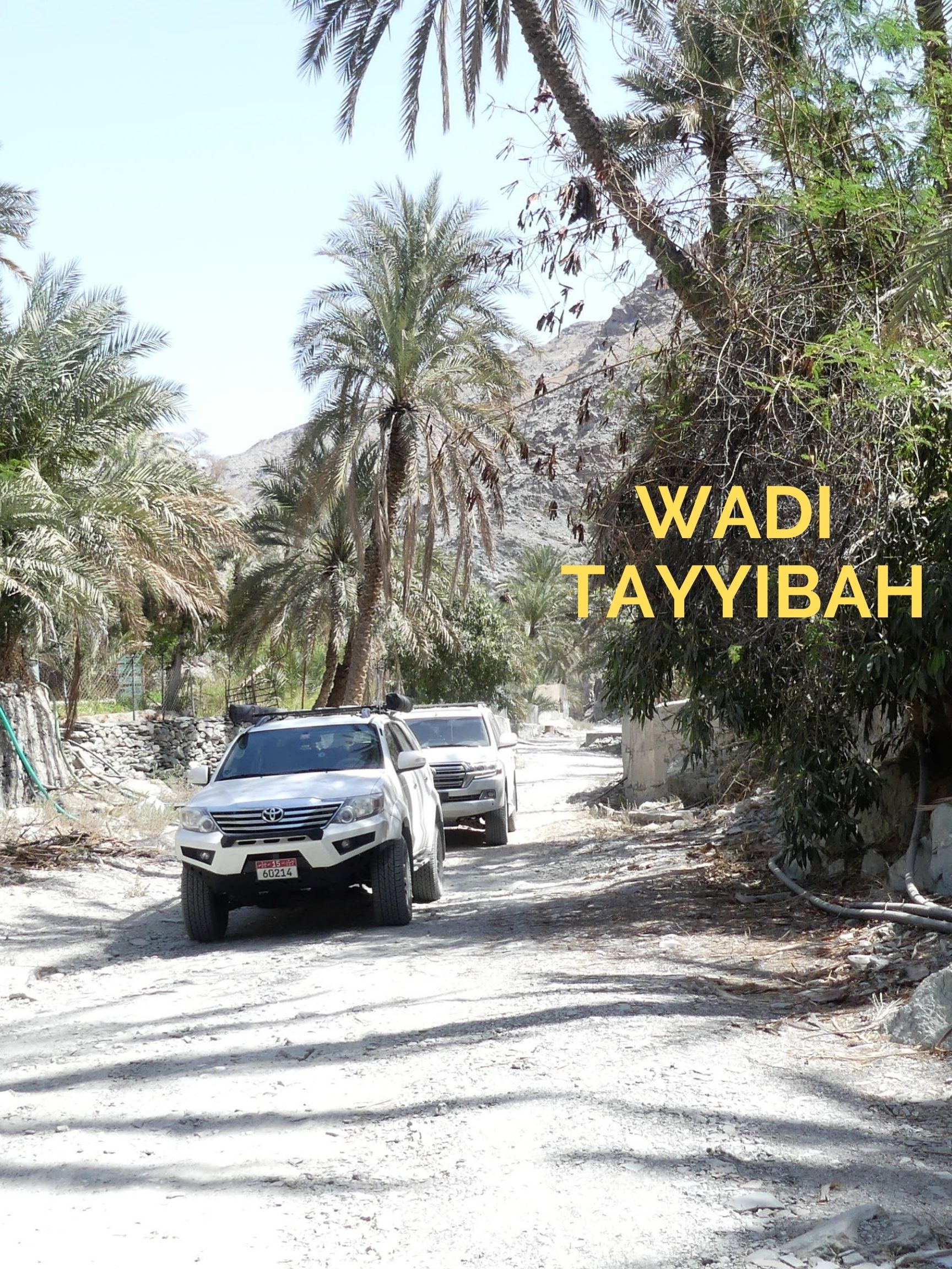 Wadi Tayyibah